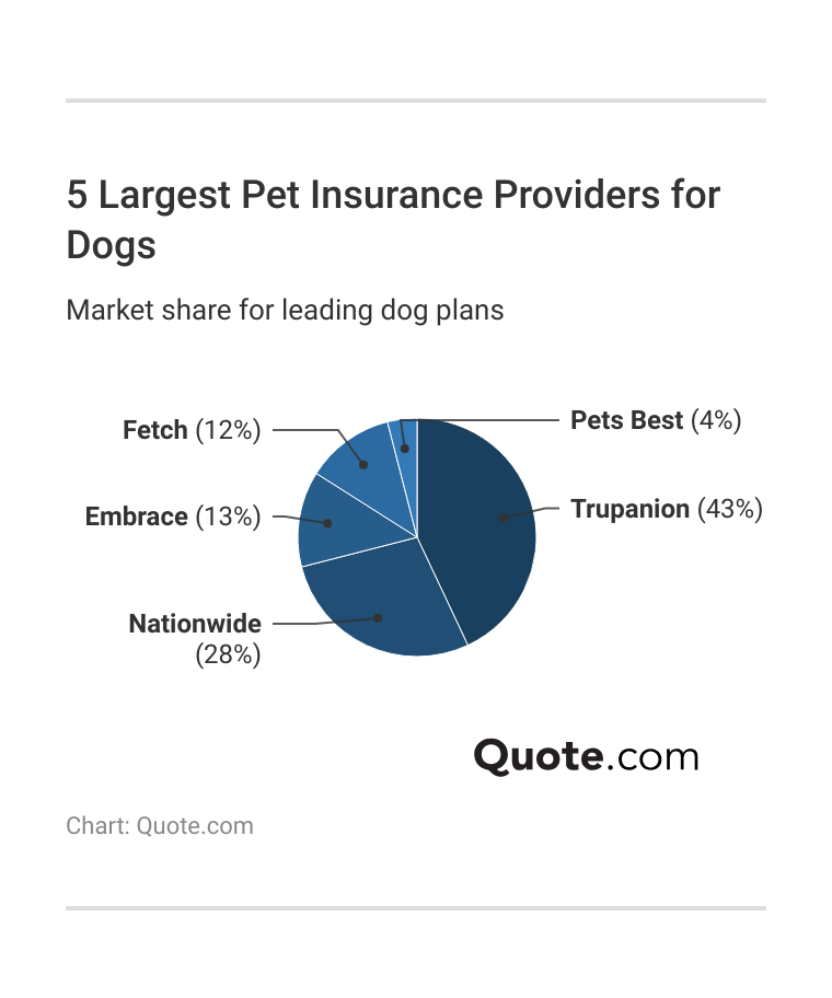 5 Largest Pet Insurance Providers for Dogs 5 Largest Pet Insurance Providers for Dogs
