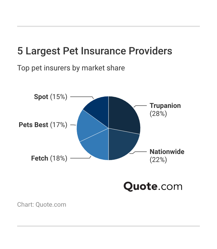 <h3>5 Largest Pet Insurance Providers</h3> <h3>5 Largest Pet Insurance Providers</h3>