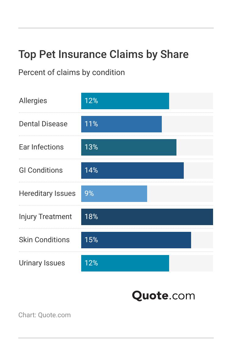 <h3>Top Pet Insurance Claims by Share</h3> <h3>Top Pet Insurance Claims by Share</h3>